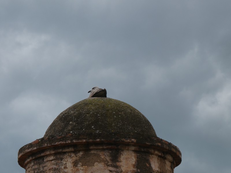 Oteando el horizonte