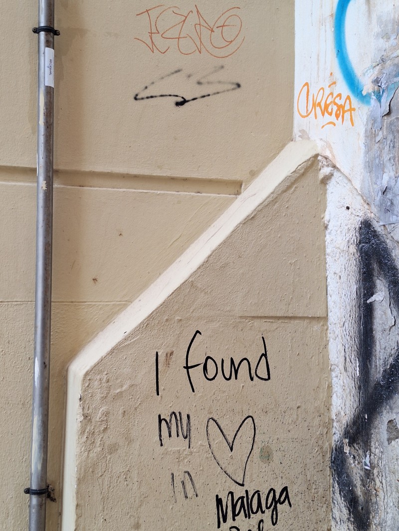 Boquerona adoptada <3