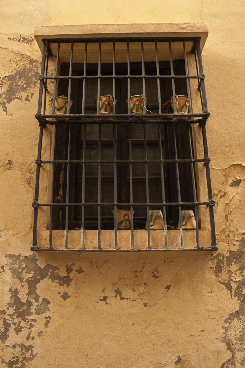 Donde las raíces crecían