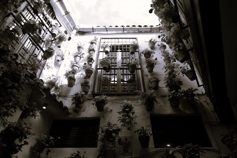 La luz no solo ilumina, sino que esculpe la escena