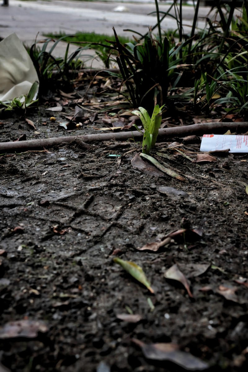 1ª Pisada del hombre en Málaga