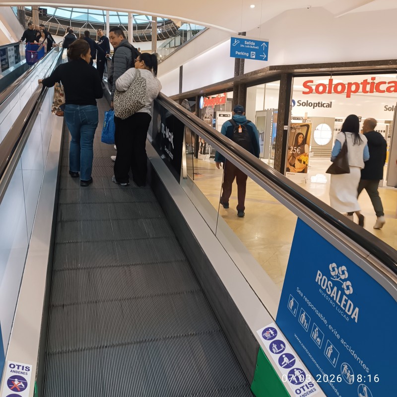 Vida en la Rosaleda.