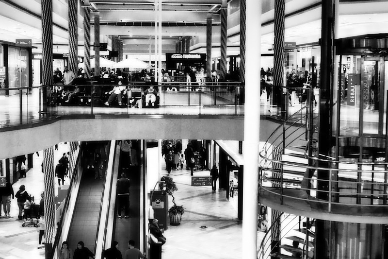 Encontrarás lo que buscas