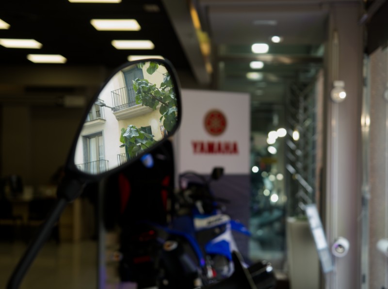 Movimiento sostenible