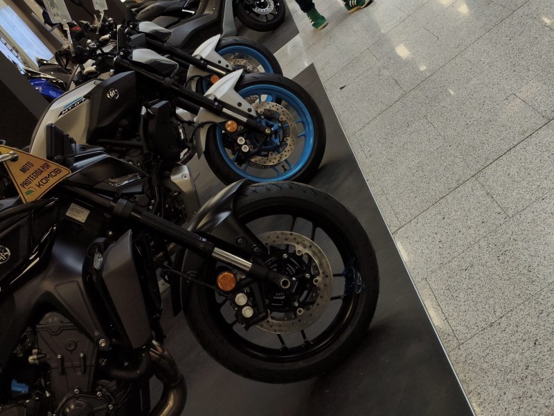 ESPERANDO EL MOVIMIENTO