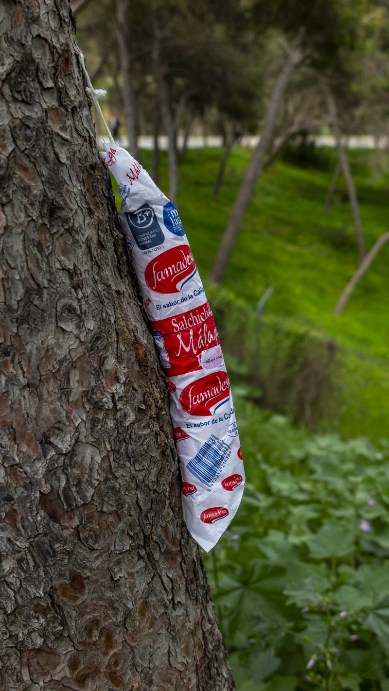 CAMPERO (SALCHICHON)