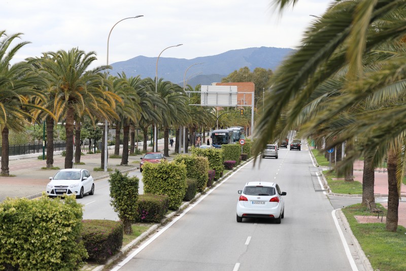 Ritmo entre palmeras