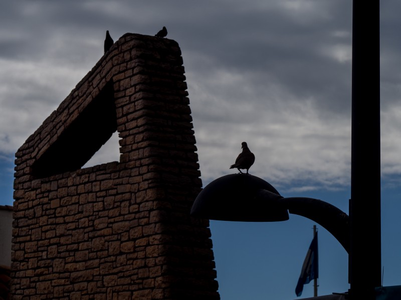 Contraluz en la Malagueta