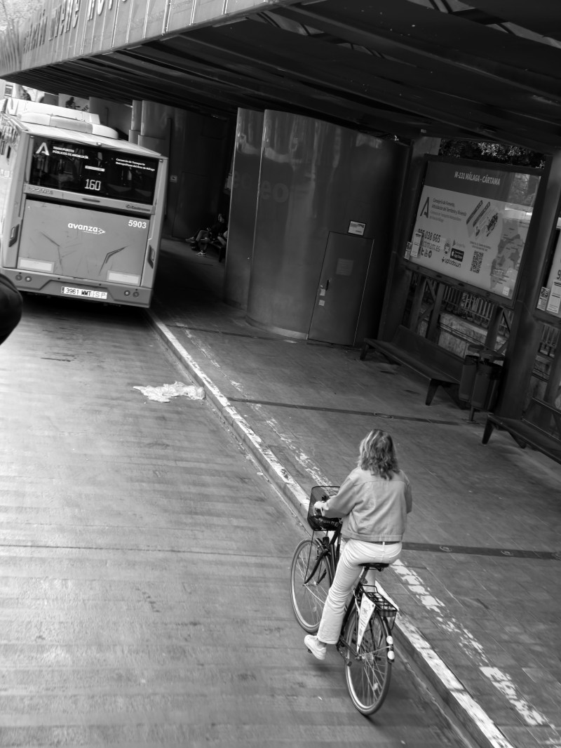 Flujo urbano: pedales y buses en sintonía
