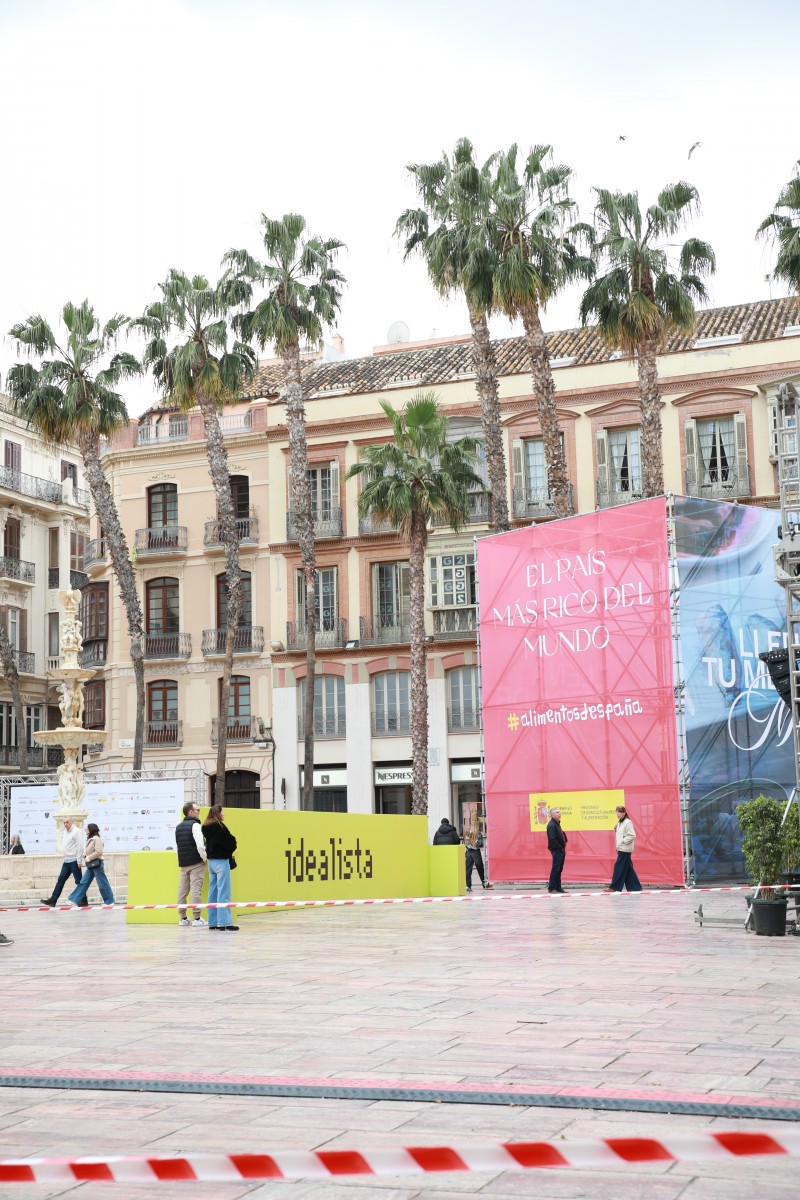 Cambia de Malaga- Vueling