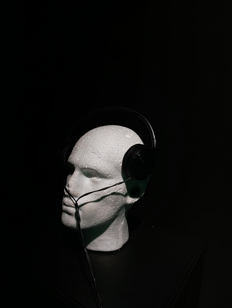 El hombre y la música