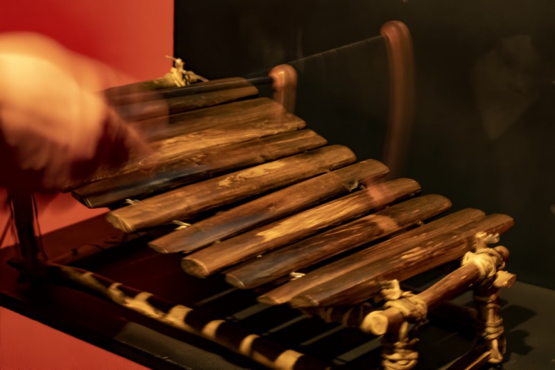 ¨EL SONIDO DEL BOSQUE¨