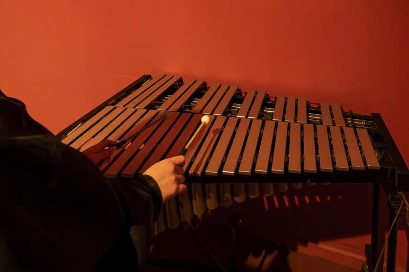 El sonido de las manos