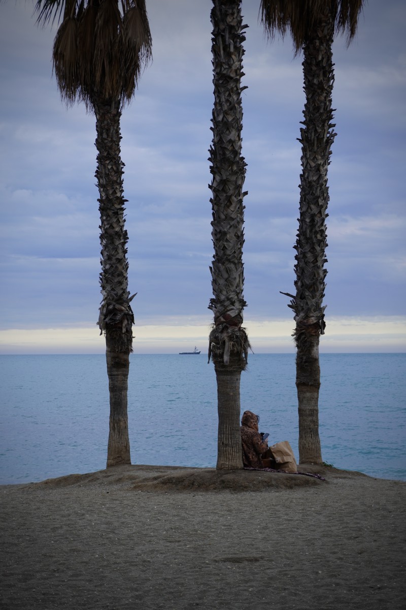 LA LUZ DE LA BELLEZA