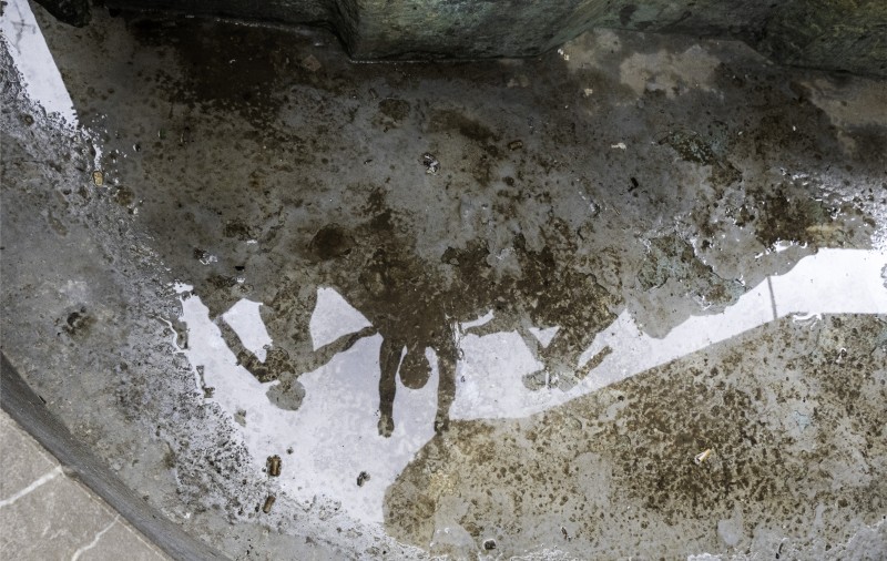 Los reflejos de Diana