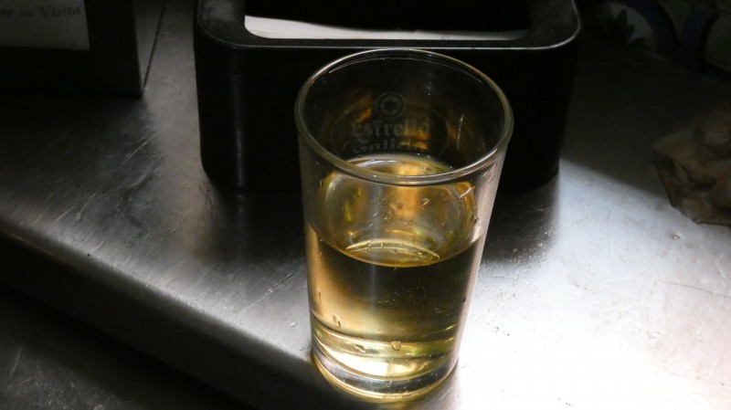 Primavera su tornasol