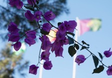 Los colores de Málaga