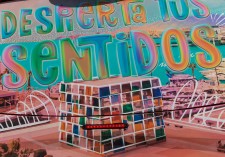 Despierta tu curiosidad