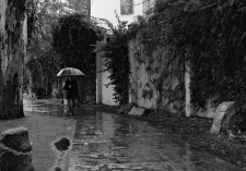 Refugiándose del agua