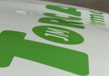 FORMACION EN VERDE