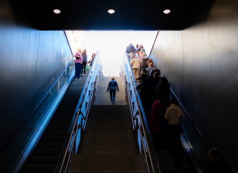 Escaleras de la ciudad: Multitudes en ascenso