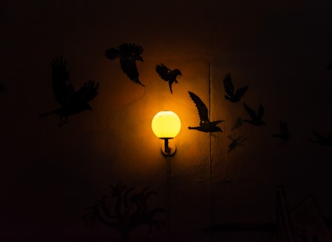 VIDA DE NOCHE