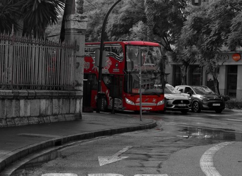 Solo Bus