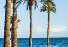 Los colores de mi corazón