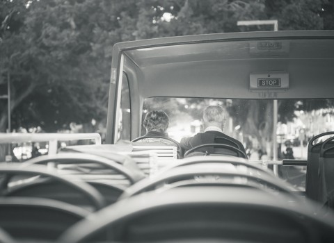 Disfrutando las vistas