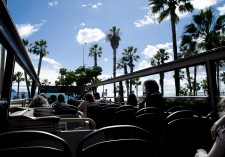 El silencio del asombro.