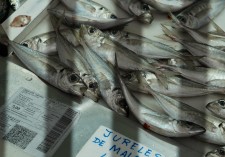JURELES DE MÁLAGA