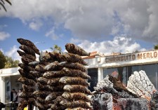 No hay Málaga sin espeto