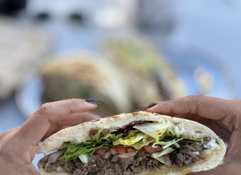 Alma de campero