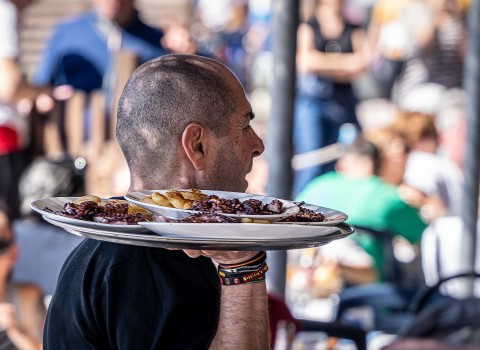 ¡Oiga… llevo el pulpo plancha!