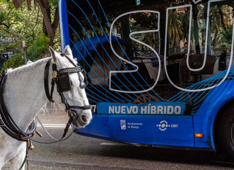 Del trote al híbrido