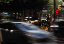 Tradición/moderindad