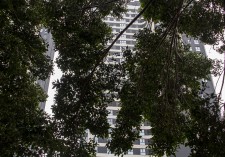 Nuevos paraísos modernos